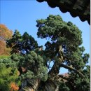 만고강산 이미지