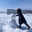 체르맛트 | 평창/강릉) 2일차 - 정화식당, 순두부젤라또