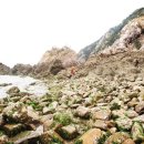 해미읍성황토펜션 이미지