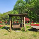 단독 수영장 풀빌라 숲속 풍무골 이미지