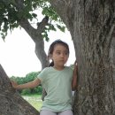 소원목장 이미지