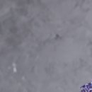 용한신경외과의원 | 목디스크 통증 원인 @ 목디스크 초기증상 및 치료방법