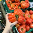 라고 아술(Lago Azul) | 신혼여행] 뚜벅이 신혼 부부의 마요르카 3박 4일 여행 후기 | 칼라 도르 베이스 + 보트 대여 + 드라크...