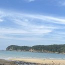 구름포해변캠핑장 | 충남 태안 구름포해변캠핑장 애견동반 캠핑 해루질 후기