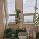 덕실네 | 평택고덕실용음악학원 보컬공방 실용음악학원 다녀본 후기
