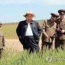 신창농장 이미지