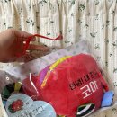 코끼리세탁 | 블루래빗 아기코끼리 코야 헝겊책 세탁방법 및 후기