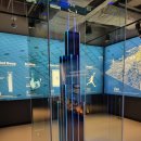 게이트조형물 | 미국 시카고 자유여행 후기 1편: 윌리스타워, 클라우드게이트