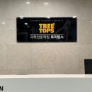 태장208
