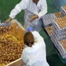 철원동물약품 이미지