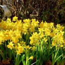 건대역약국 이미지