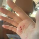 당산목장 | 당산, 서산, 그리고 태안까지