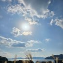 엘마르 | 경남 고성 카페 엘마르빈스트 바다 보이는 오리 정원 카페 후기