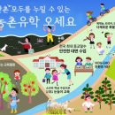 진도군내중학교 이미지