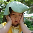 송제농원 이미지