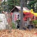 황명「분수·1」 이미지