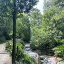 고산골 공룡공원 쿨 이미지