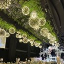 위더스 펫 이미지