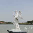 엔12 이미지