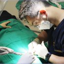 뿌리내린치과의원 이미지