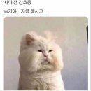 쇼팽피아노학원 이미지