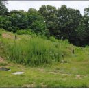 강원장의사 이미지