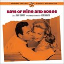 Days of Wine and Roses(Andy Williams) 이미지