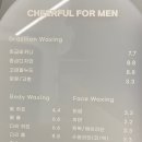 치어풀포맨