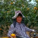 단감주유소 이미지