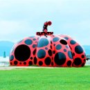 주식회사 가을렌트카 이미지