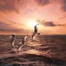 우영아파트 이미지