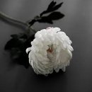 속초시청 이미지