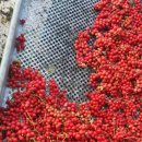 인하농장 이미지