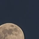 신공주밤생산영농조합 네이버블로그
