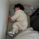 애기랑 부산 광안리˚₊·—̳͟͞͞♡ 뿌시기