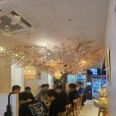 이도훈치과 | 망포역 술집 최고급 참다랑어 안주에 술이 술술