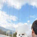 포천한탄강하늘다리 이미지