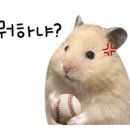 북구미래아동병원 이미지