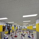 용인대호반태권도 이미지