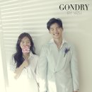 비쥬바이진스&공드리