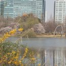 해오름안경원 이미지