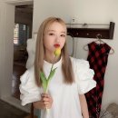 채원주