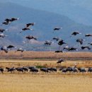 순천만그리고나 이미지