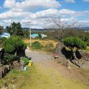 동막골 펜션 이미지