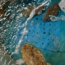 통일대로 37번길 이미지