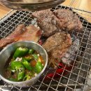 위더스 펫 이미지