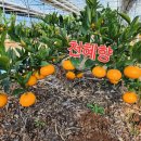 거성농장 이미지