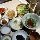 도야집