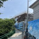 라벤더향기 | 동해 무릉별유천지 라벤더축제 후기, 보랏빛 향기에 빠진 하루