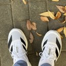 6206 | What's in my : 아디다스 러닝화, 아디제로 EVO SL JH6206 구매 및 착용 후기(내돈내산)